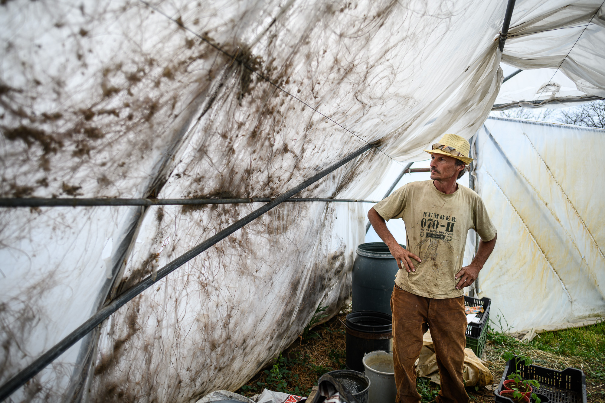 Szabó Csaba képzőművész, biokertész