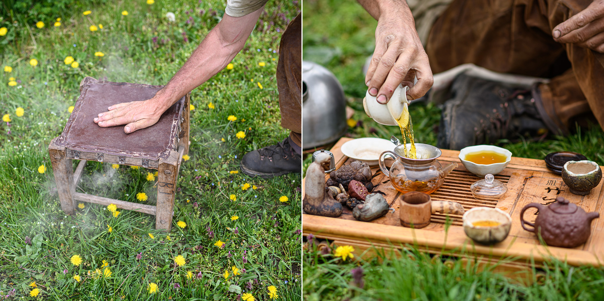 Szabó Csaba képzőművész, biokertész