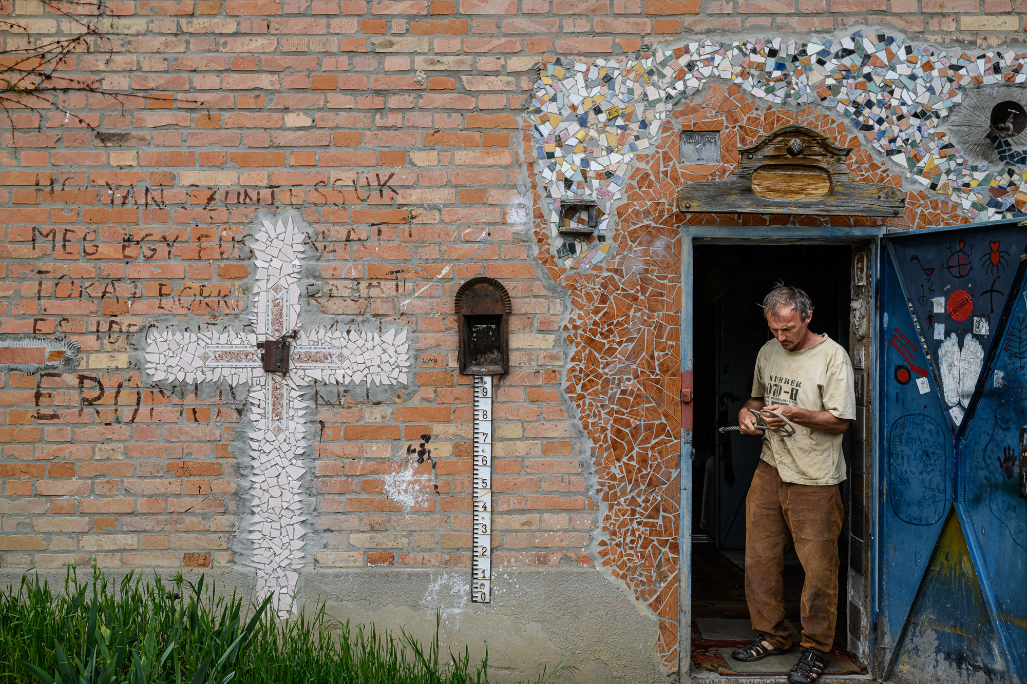 Szabó Csaba képzőművész, biokertész