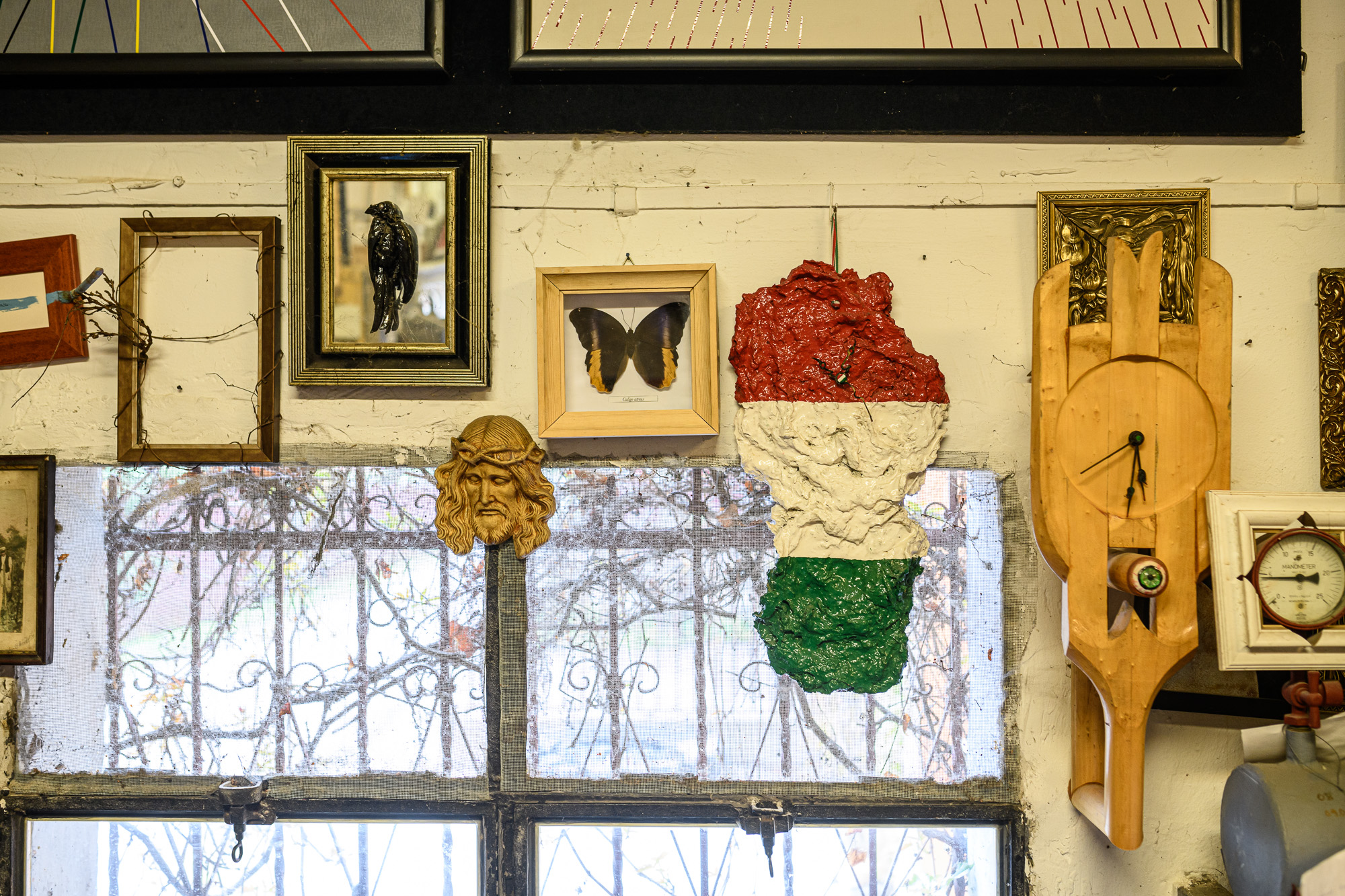 Szabó Csaba képzőművész, biokertész