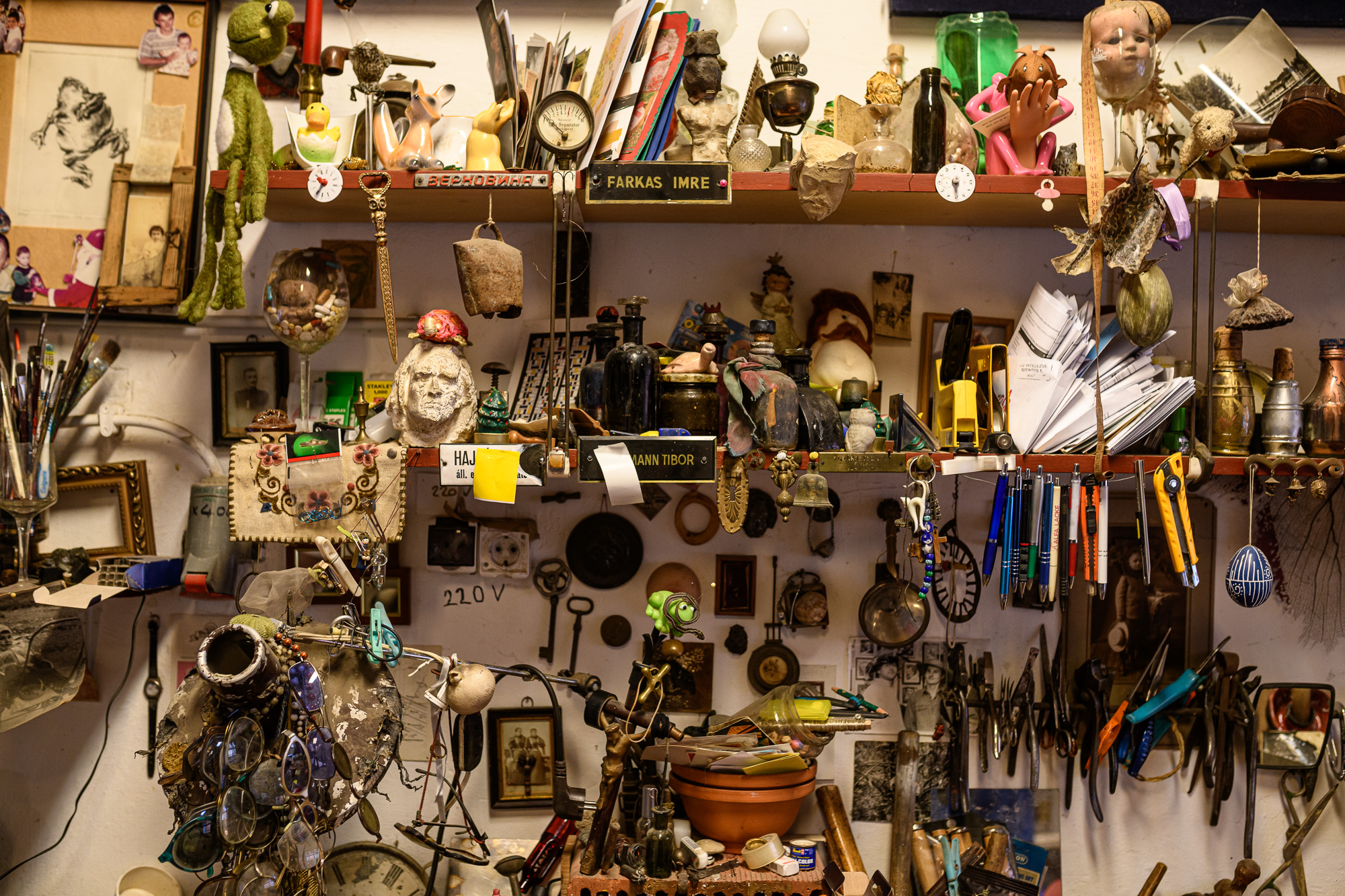 Szabó Csaba képzőművész, biokertész