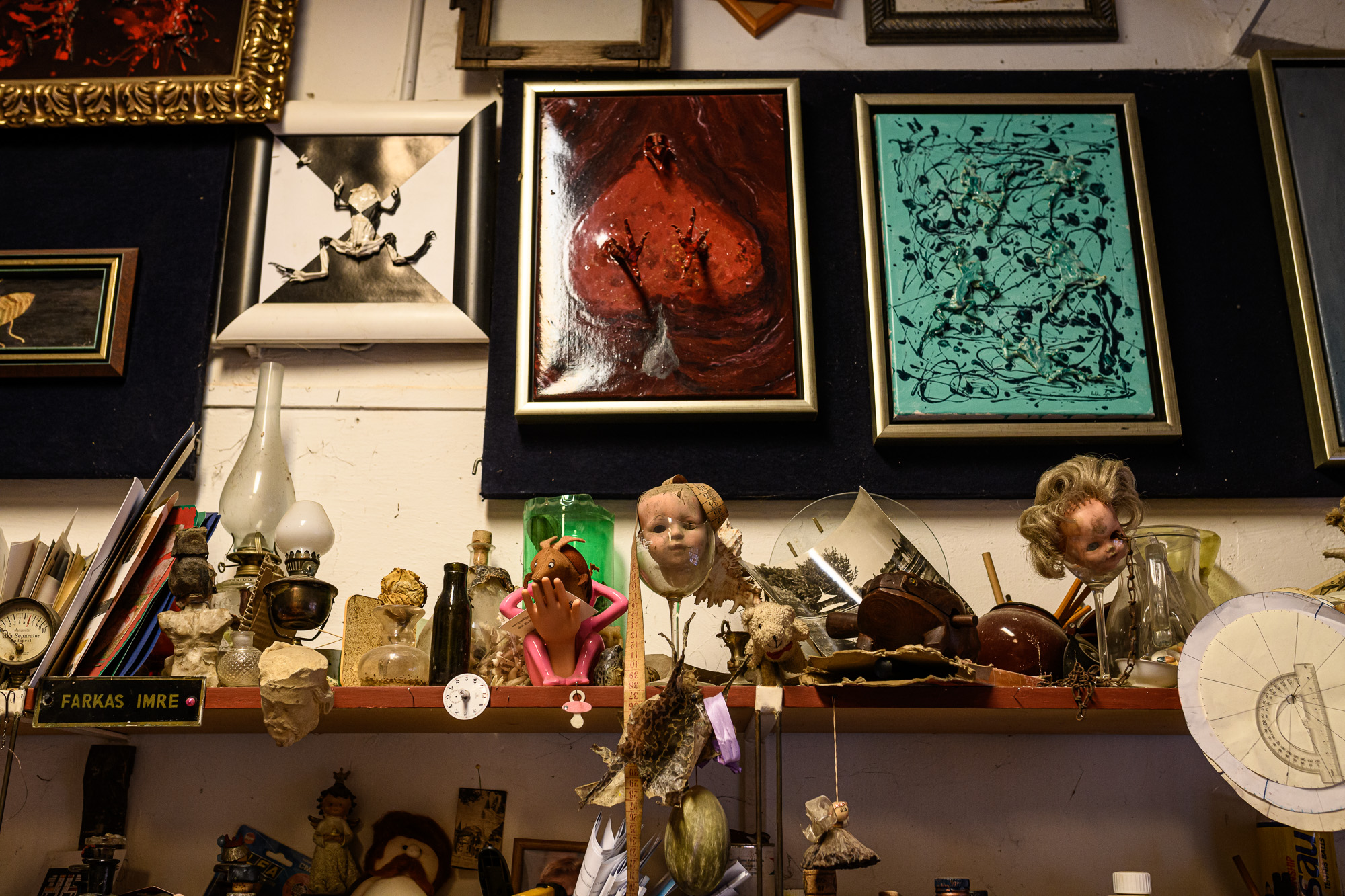 Szabó Csaba képzőművész, biokertész