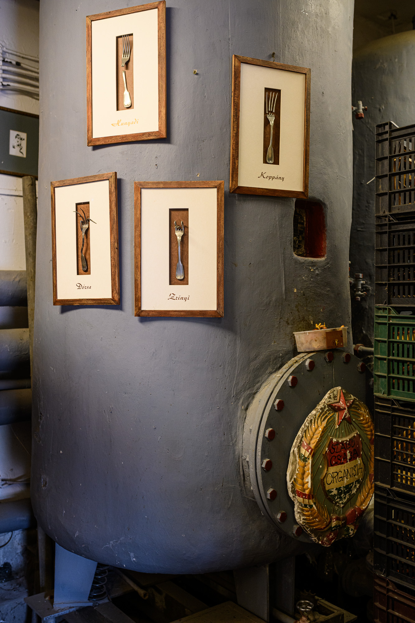 Szabó Csaba képzőművész, biokertész