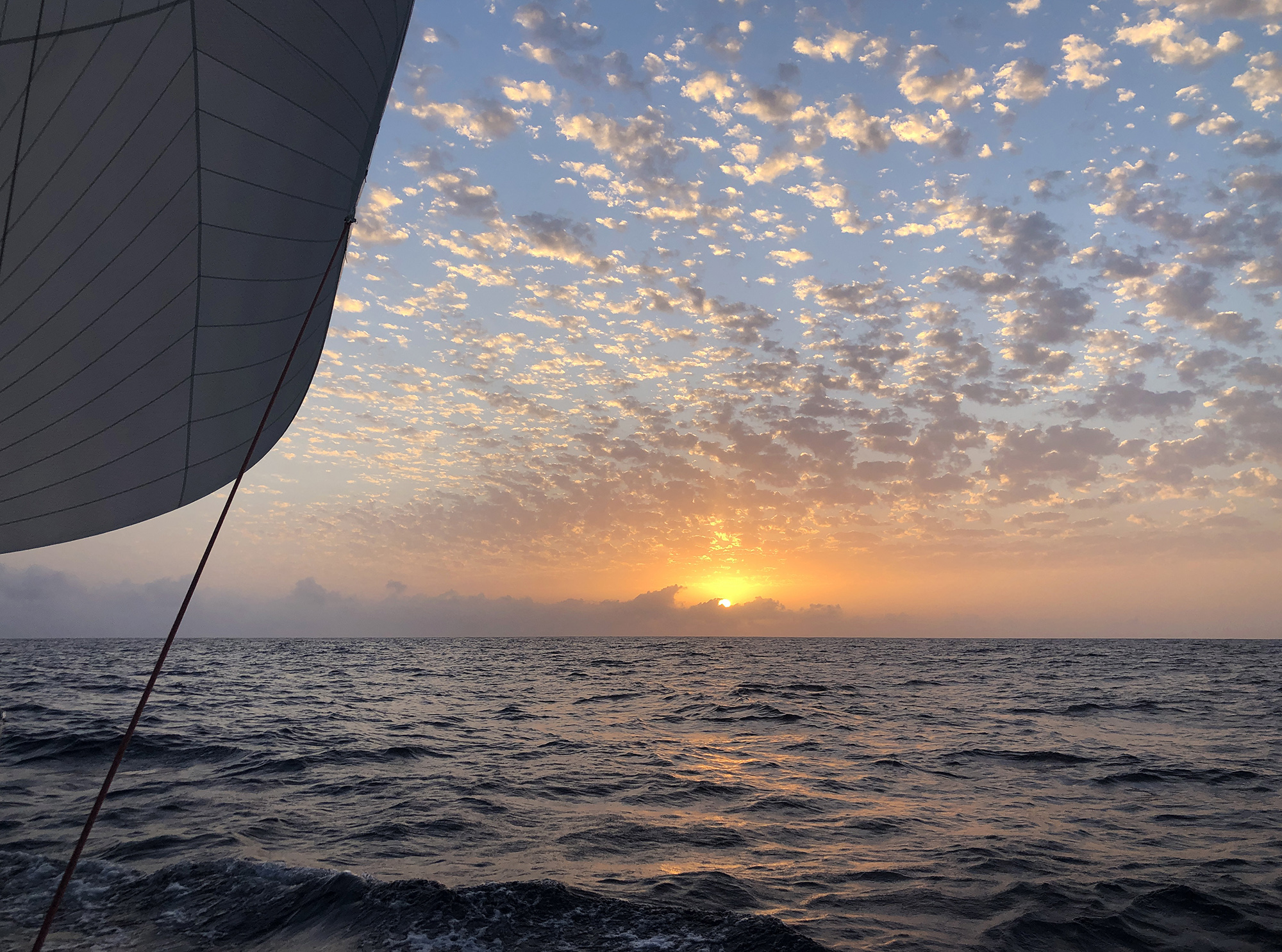 A világutazó Bősze család