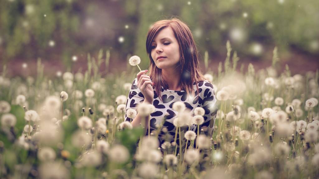 nő pitypangok között