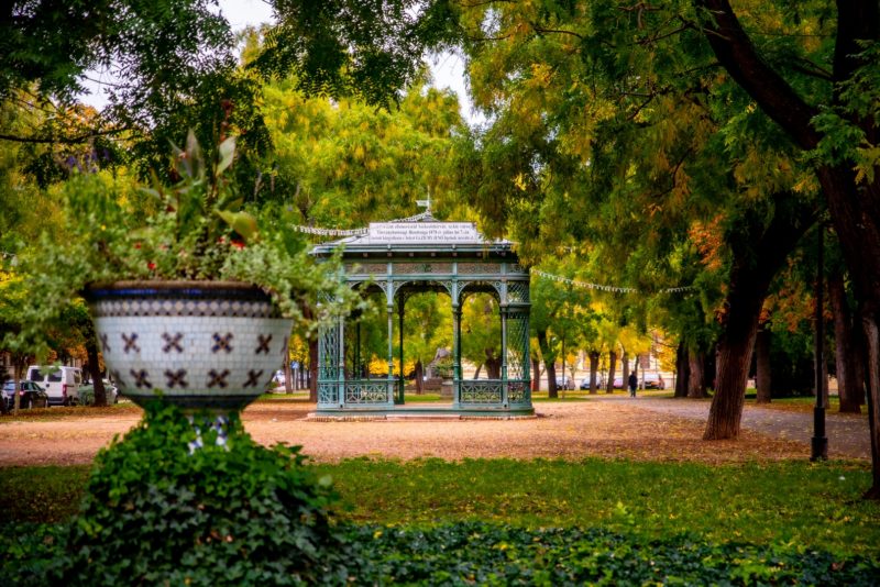 Zichy -liget Székesfehérváron