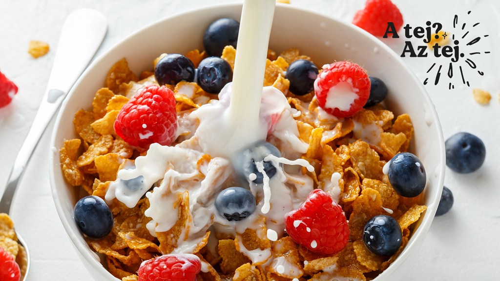 A tej? Az tej. - Új proaktív PR-kampányt indít a Tej Terméktanács (x)