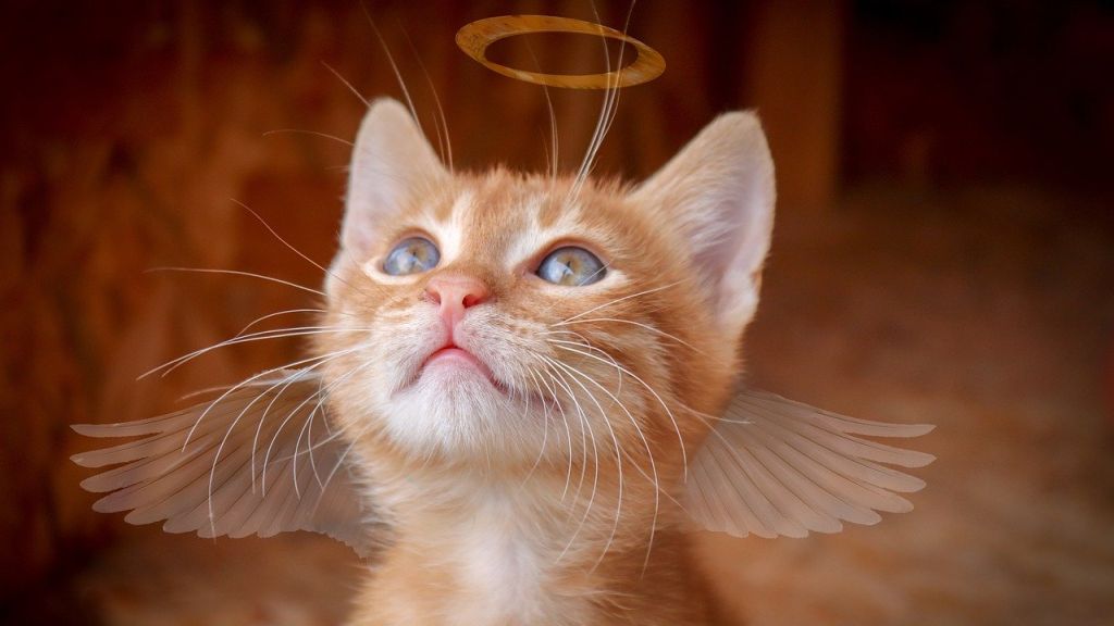 Heti angyalhoroszkóp