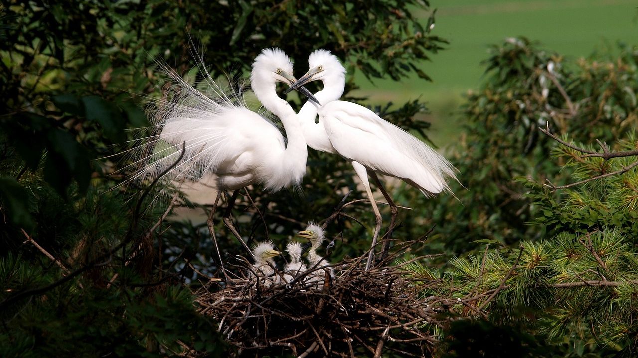 Hétvégi szerelmi horoszkóp
