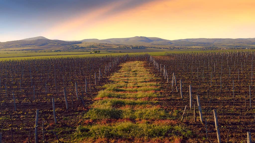 Legyen mindenkié a Mátra! (X)