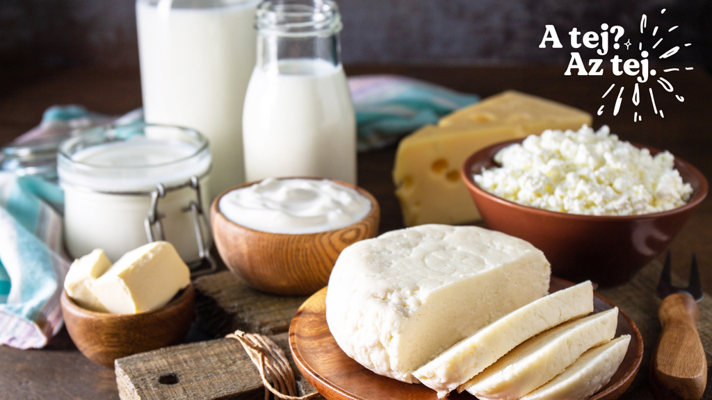 A tej? Az tej. - Új proaktív PR-kampányt indít a Tej Terméktanács (x)