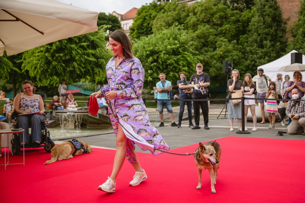 Kutyáikkal vonultak fel a sztárok a vörös szőnyegen