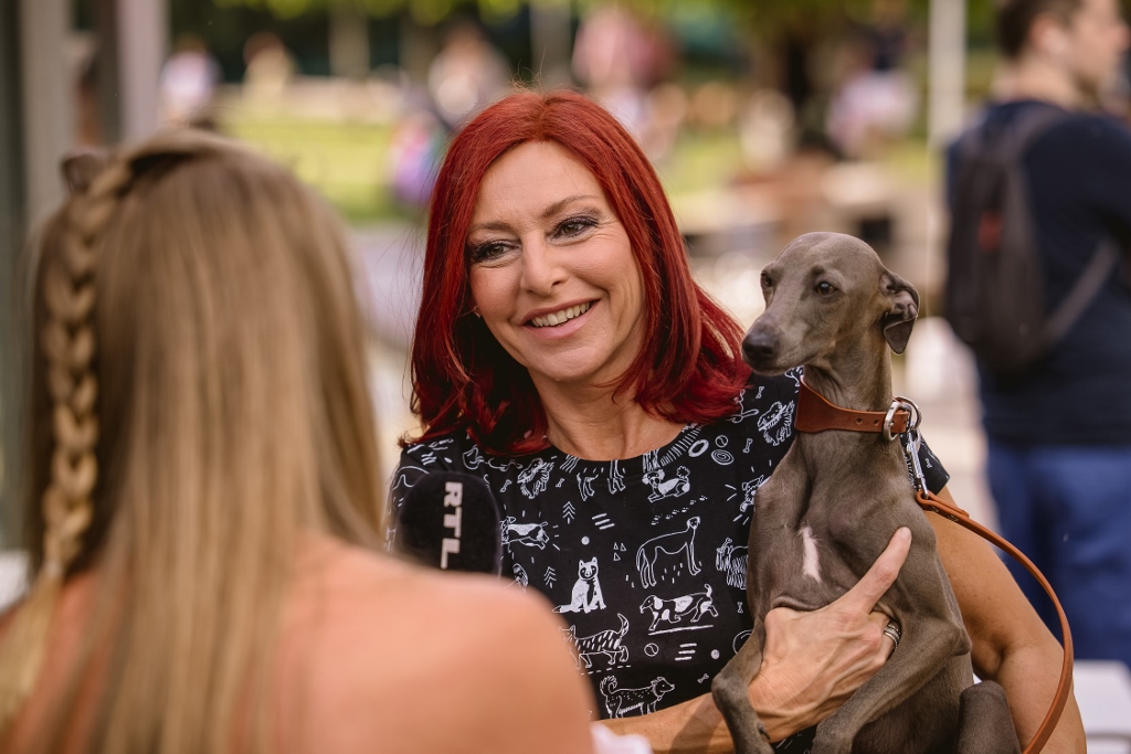 Kutyáikkal vonultak fel a sztárok a vörös szőnyegen