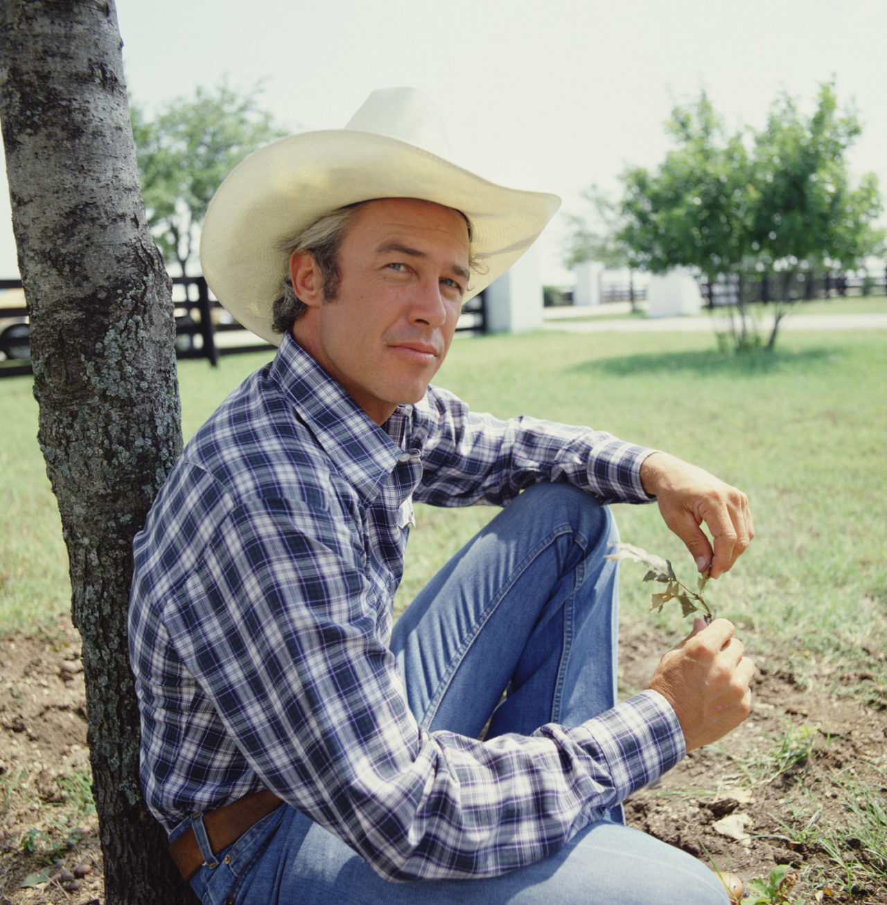 Dallas sztárja Ray Krebbs most