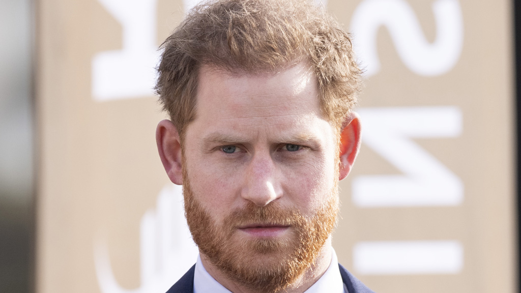 harry herceg portré