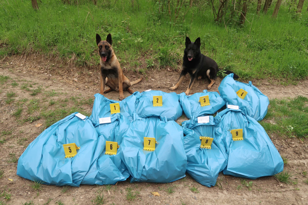 Carlo és Falco a begyűjtött tetemekkel (Fotó: Deák Gábor)