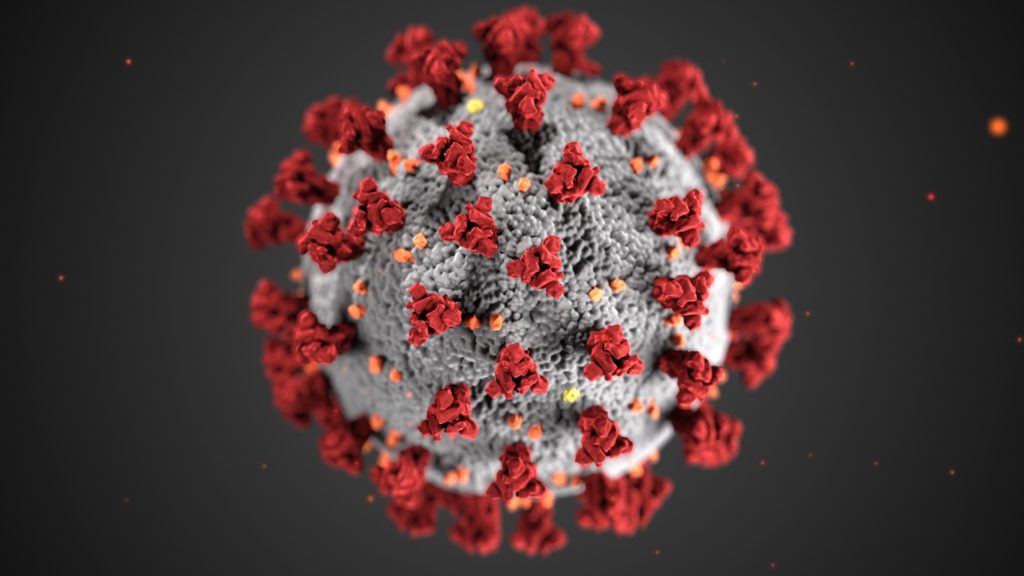 koronavirus