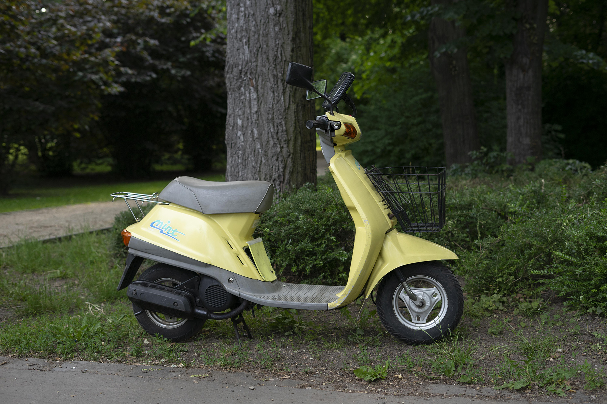 Utcai portrék Budapestről