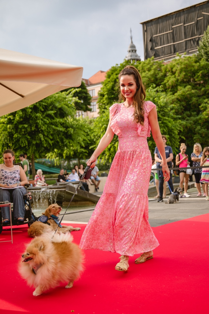 Kutyáikkal vonultak fel a sztárok a vörös szőnyegen