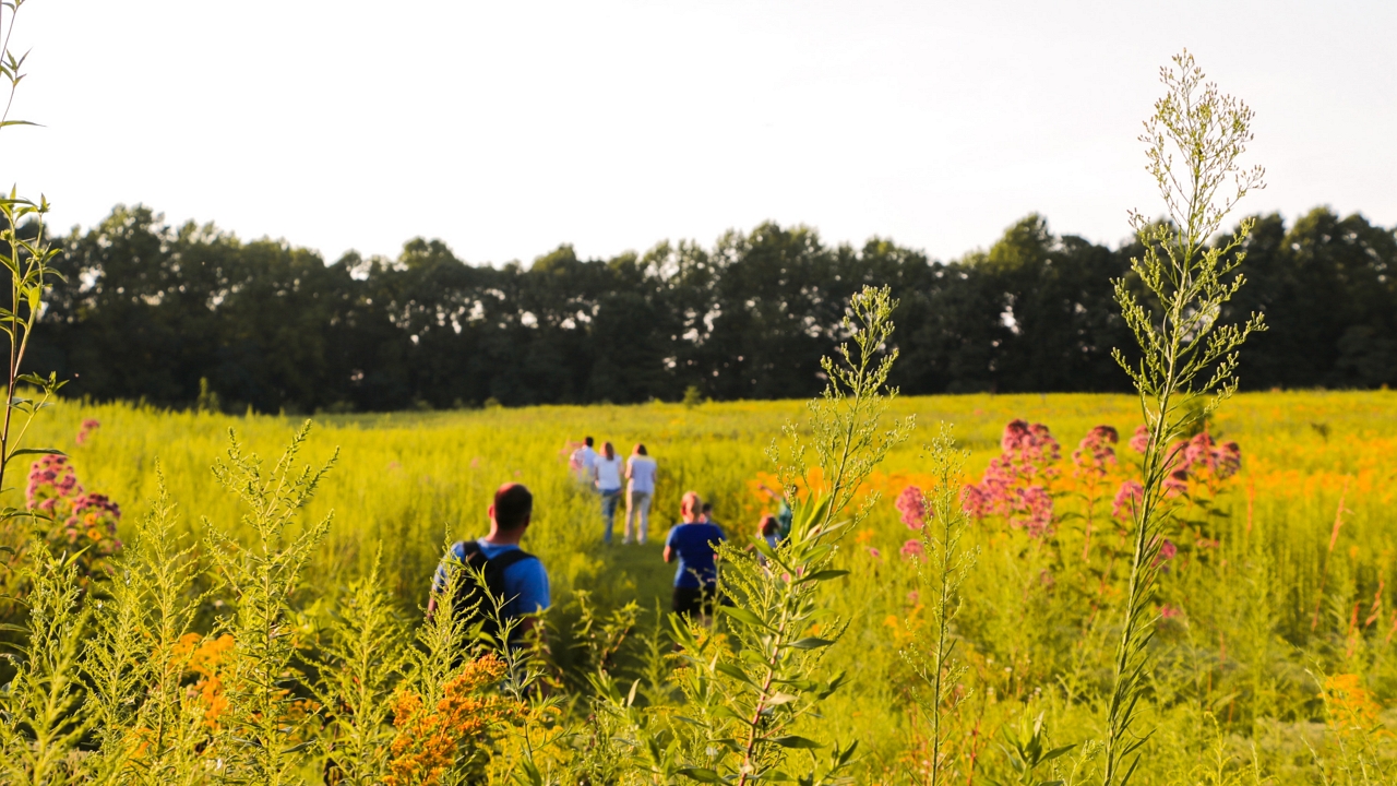 Már nagyon vártuk: 29 fok is lehet a hétvégén!