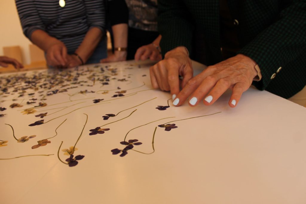 Ibolyák a Sisi kiállításon