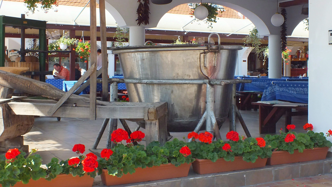 Fehértói Halászcsárda és Panzió