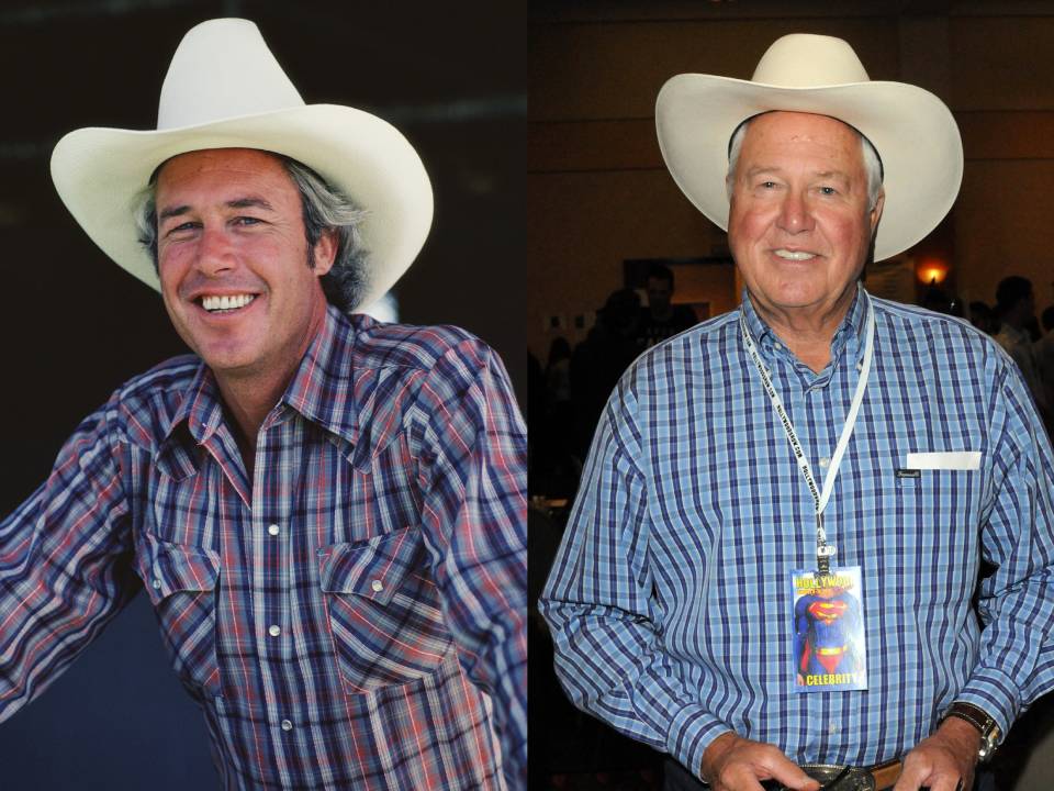 Dallas sztárja Ray Krebbs most