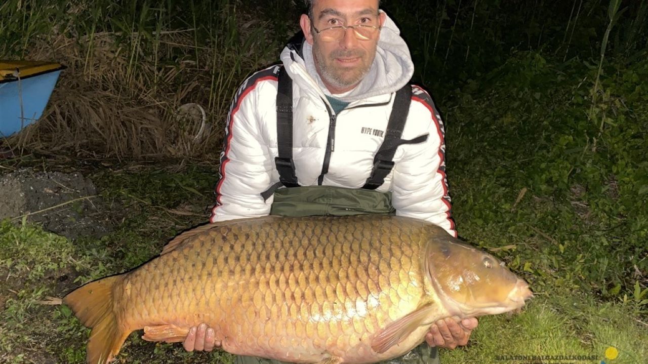 ponty, balatoni szörny, Szesz töves