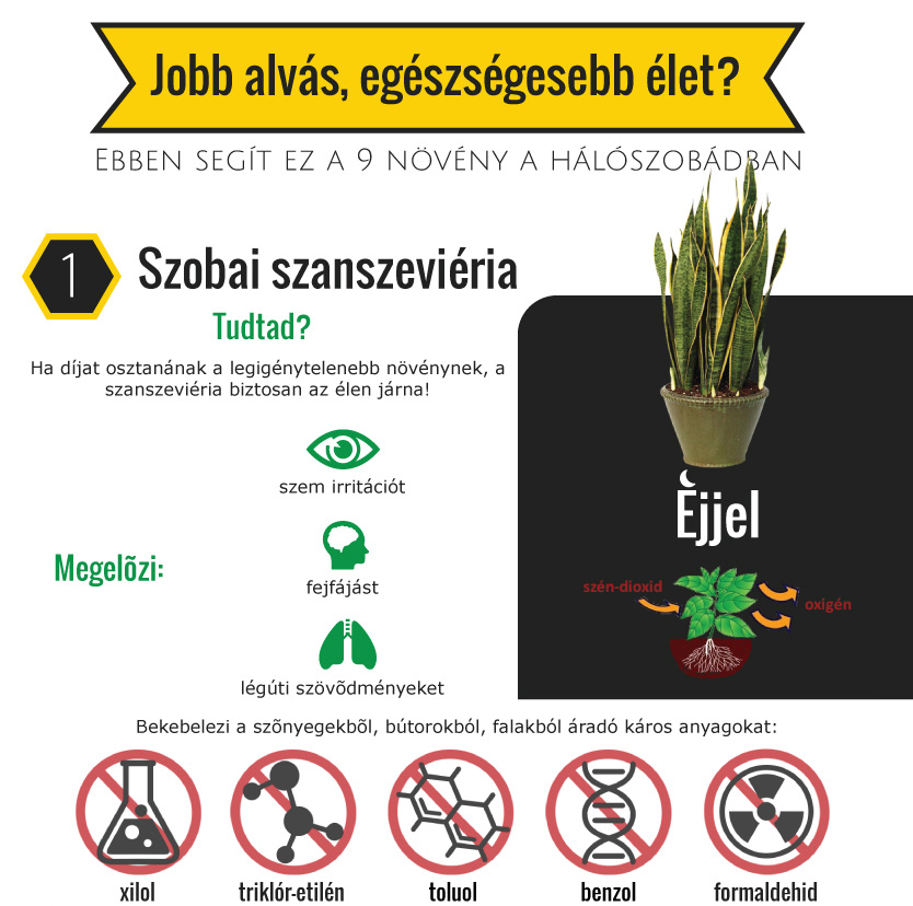 9 növény, ami segíti a jó alvást