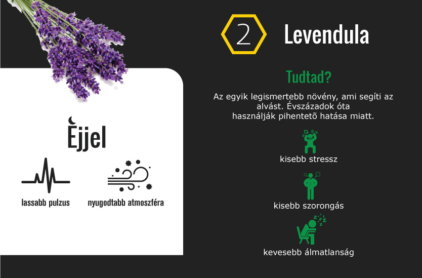 9 növény, ami segíti a jó alvást