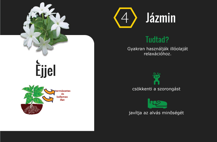 9 növény, ami segíti a jó alvást