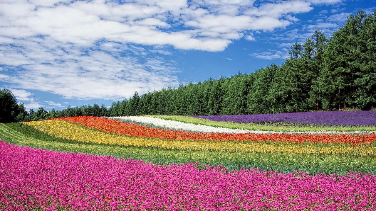 Heti angyalhoroszkóp