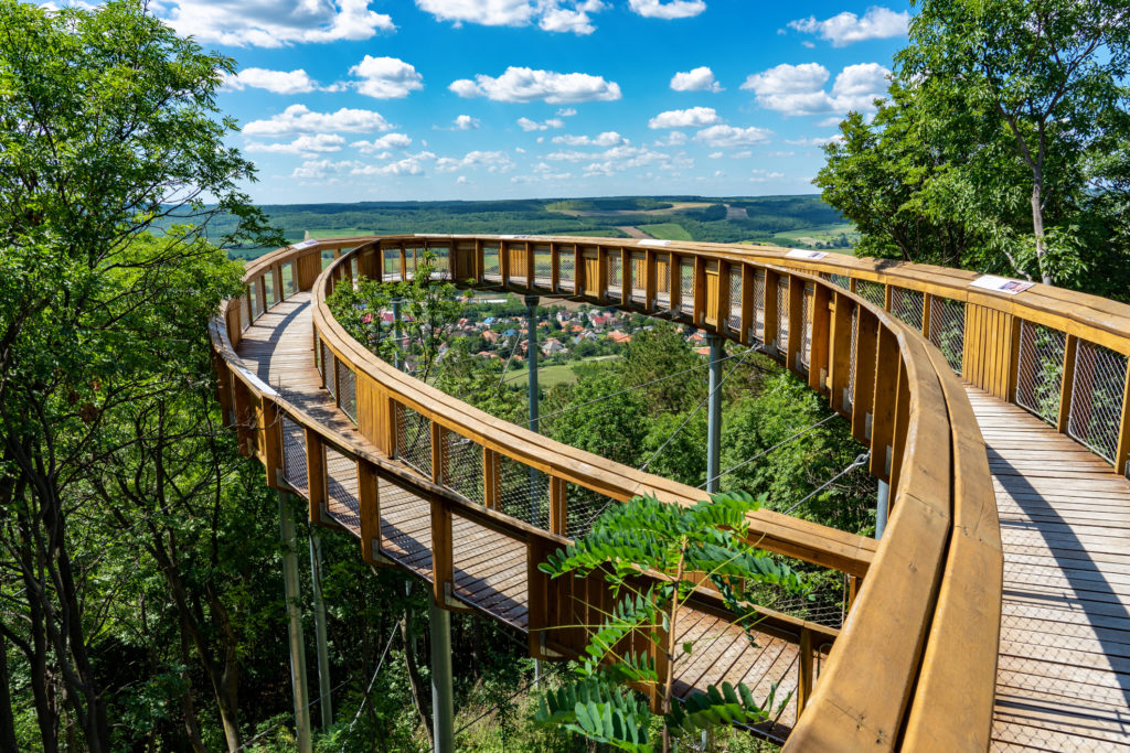 A Lombkorona Tanösvény Pannonhalmán