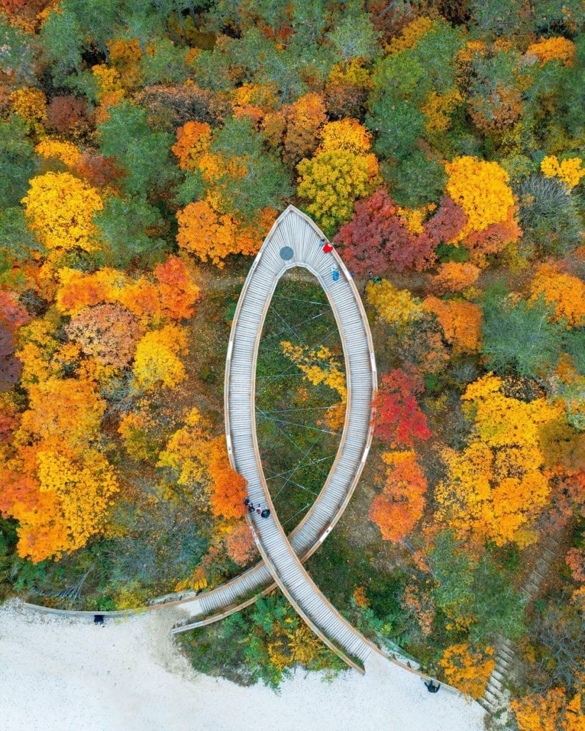 Lombkorona Tanösvény Pannonhalmán