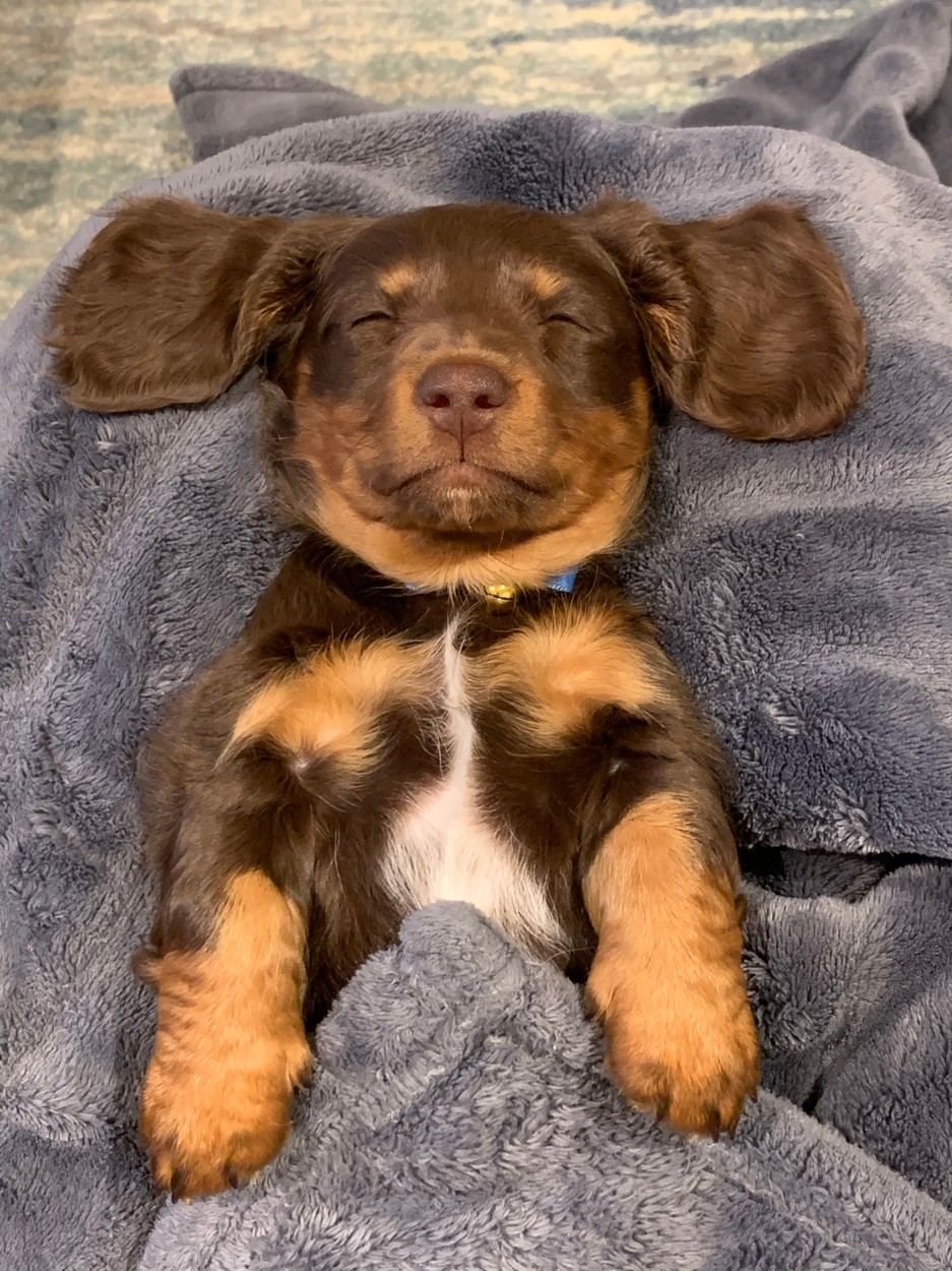 Slinky kellően ellazult (fotó: Profimédia)