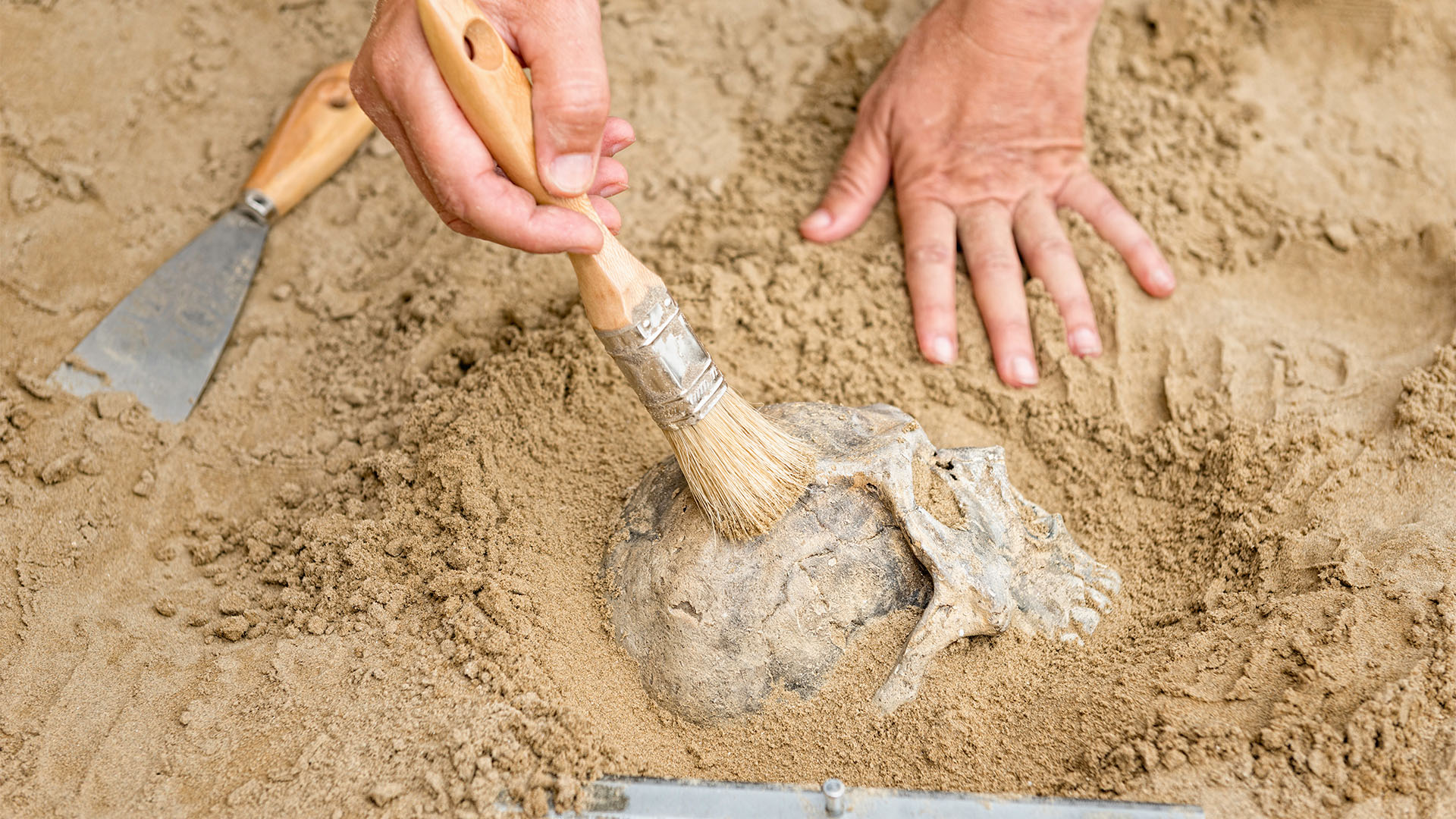 Több száz éve halott szerelmespár sírjára bukkantak