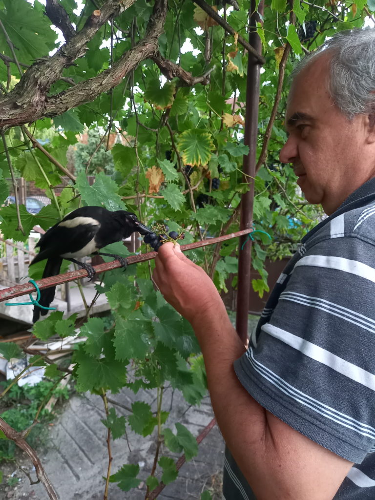 Szarkával haverkodik a vakvezető kutyás „Doctor Dolittle"