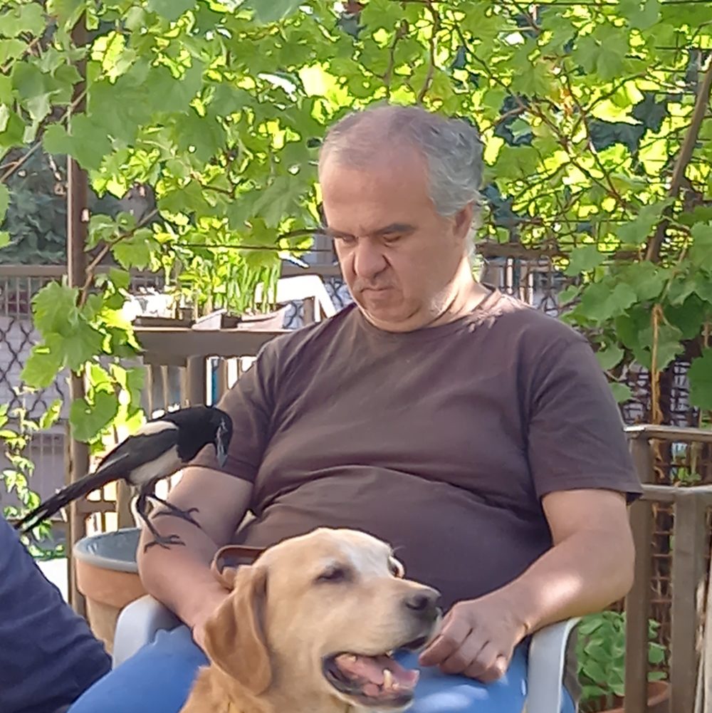 Szarkával haverkodik a vakvezető kutyás „Doctor Dolittle"