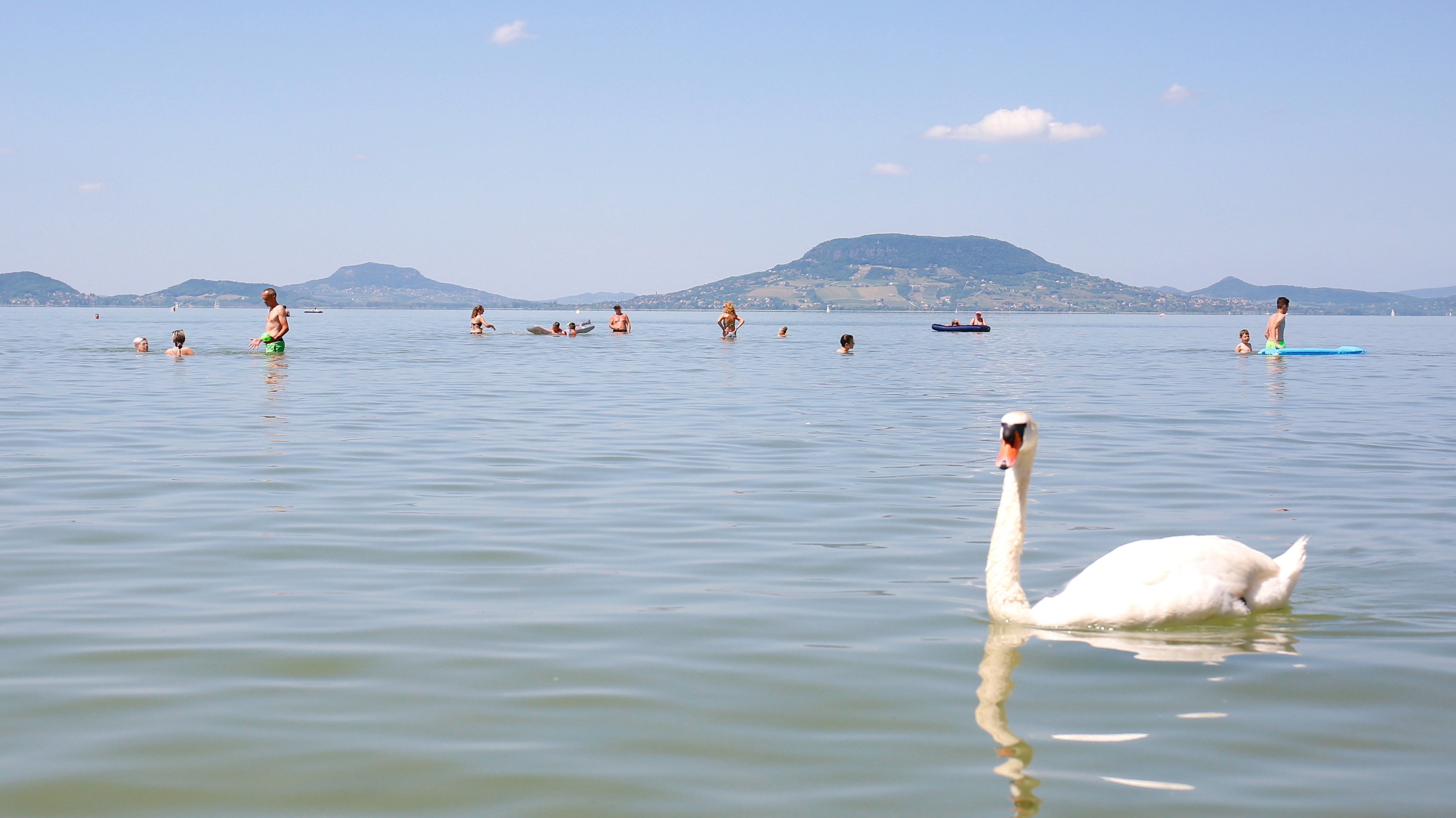 Balaton