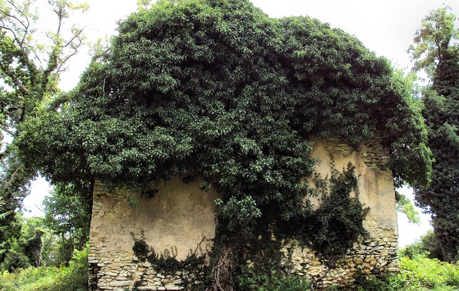 Forrás: Elpusztult Árpád-kori falvaink