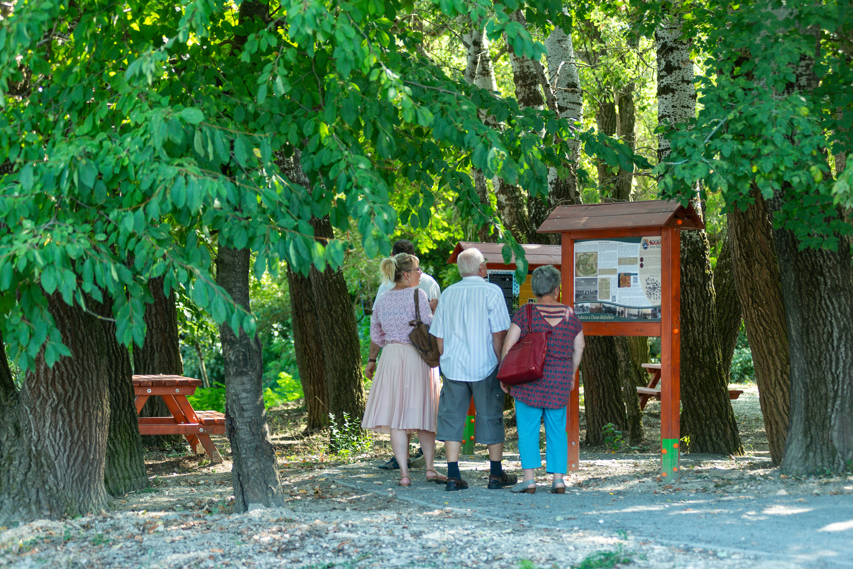 Déli Dunakanyar: Magyarország új turistaparadicsoma a nyitásra készül