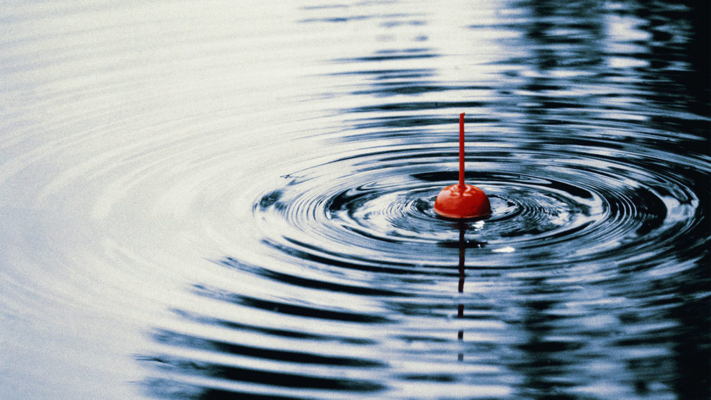 Embernél is nagyobb harcsát fogott a kezdő pecás