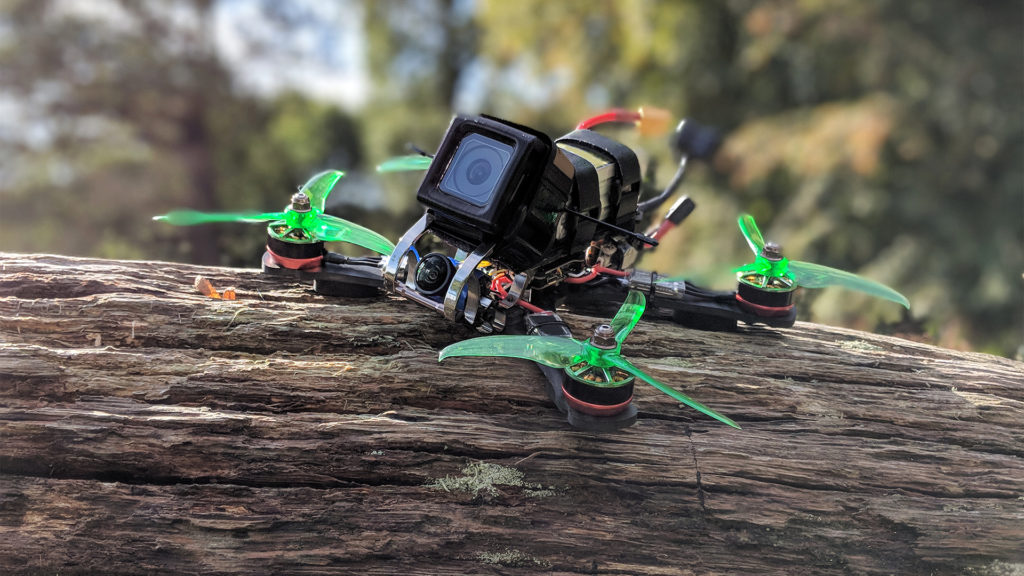 Meghökkentő felvételt rejtett az erdőben talált kamera