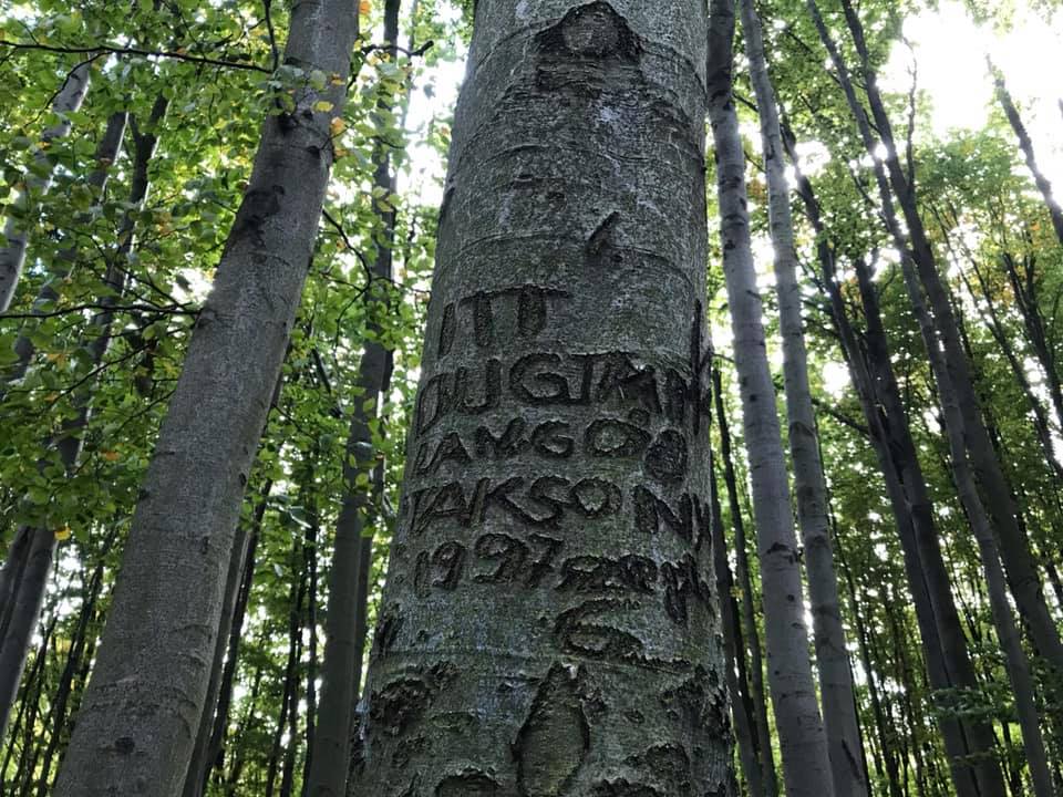 Erdőben szeretkezni? 10 ezrekbe fájhat a bünti