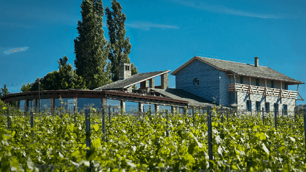 A páratlan évjáratokban mindig van valami emlékezetes: 2021-től különlegesen jó neszmélyi borokat várhatunk (X)