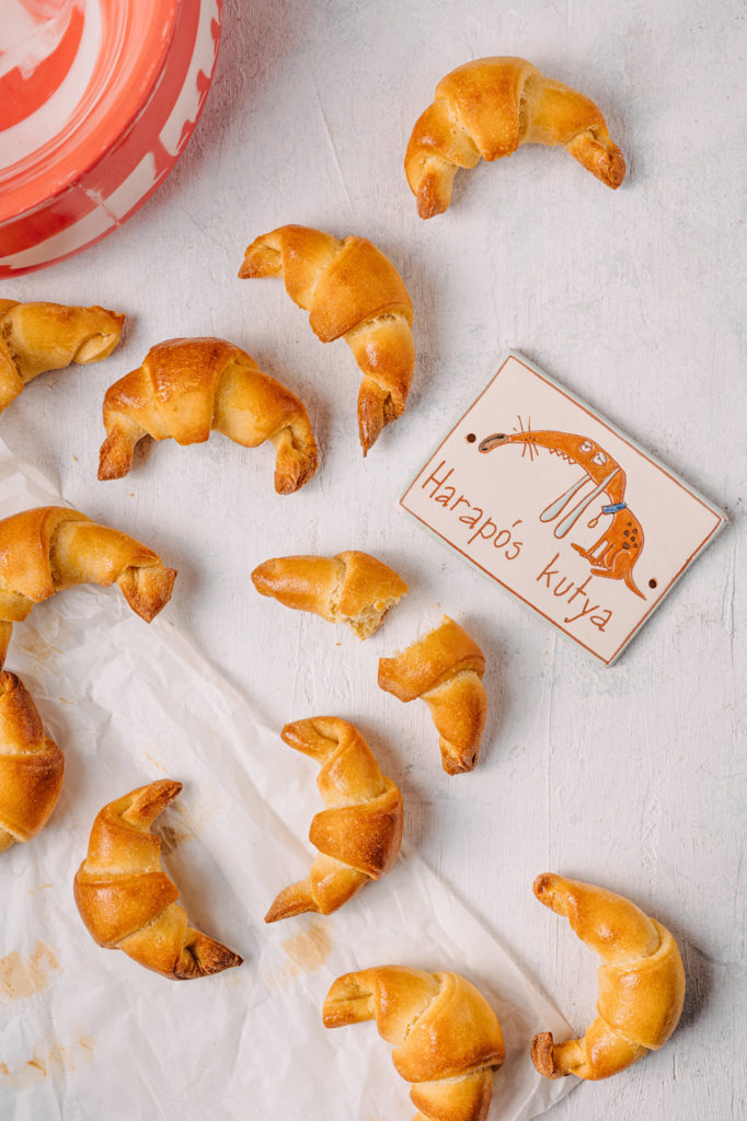 Mi a jó a kutyának: a táp, a nyers hús, házikoszt, vagy esetleg a zöldséggel etetés?