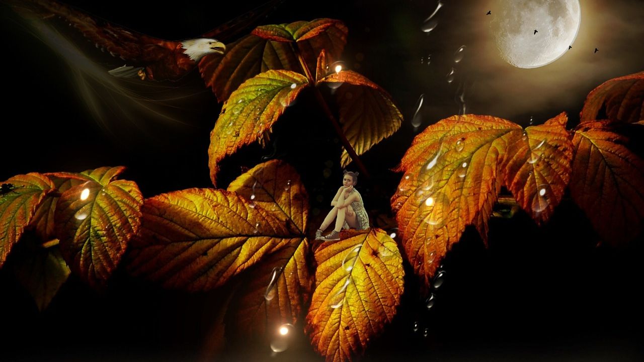 Heti angyalhoroszkóp