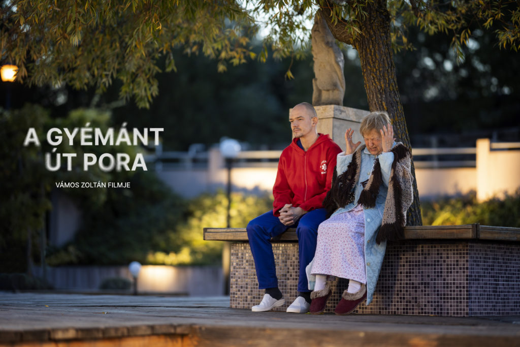 A gyémént út pora című filmben Vári Éva alakítja a demens beteget