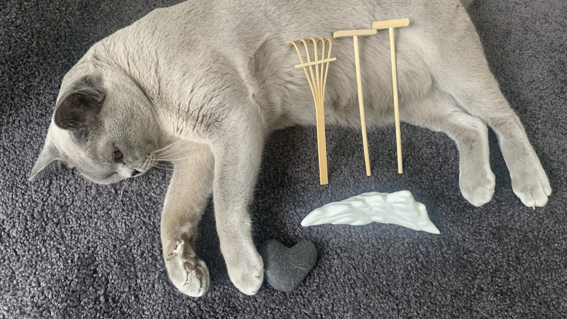 Lola, a zen kertté alakított macska