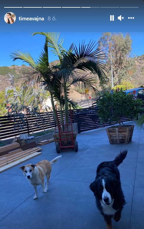 vajna tímea háza beverly hills